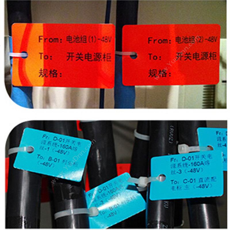 侨兴 Qiaoxing BC-4560 挂牌标签 45mm*60mm （绿） 250张/卷 线缆标签