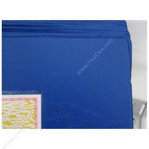 立信 Lixin 2902-A4 横式塑料帐册封面 A4 随机色 凭证封面