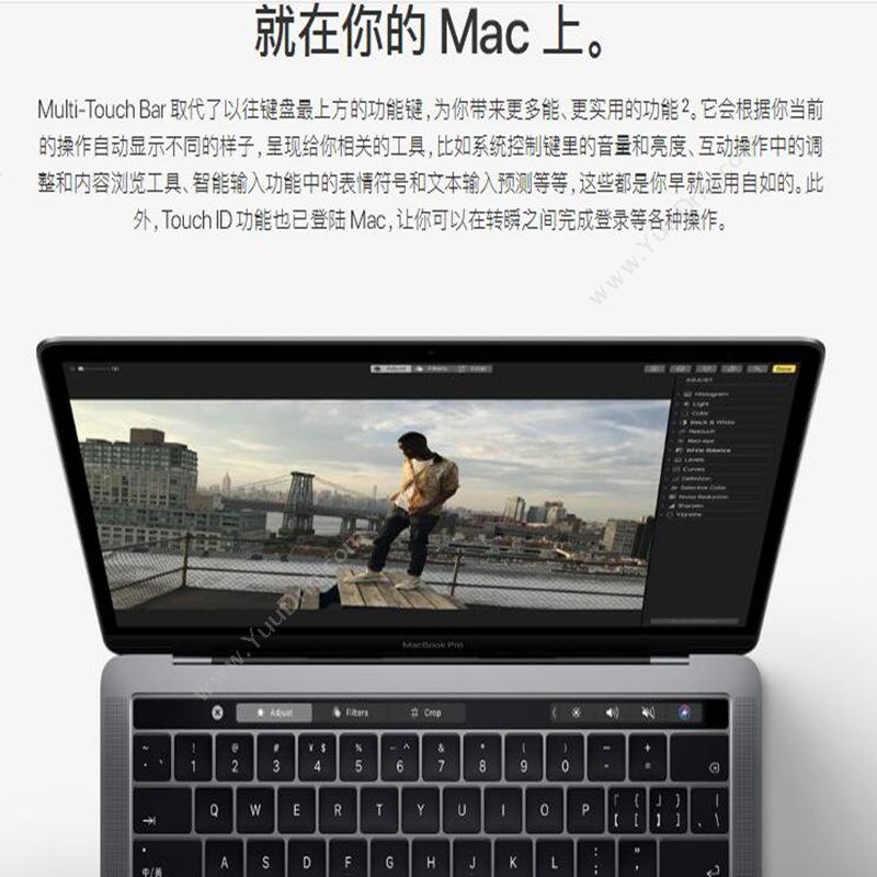 苹果 Apple MacBook Pro MPXT2CH/A  13.3英寸I58G256G1Y 笔记本
