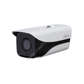 大华 Dahua200万高清星光级单灯红外网络摄像机DH-IPC-HFW2228M-AS-I1 8mm红外球型摄像机
