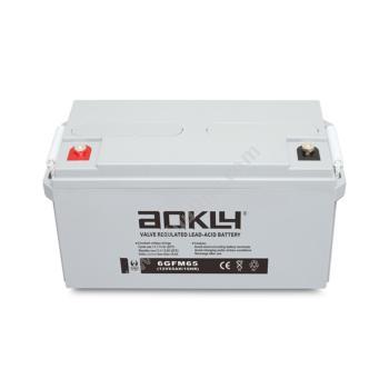 奥克莱 Aokly12V   GFM系列 12V65AH    6-GFM-65铅酸蓄电池
