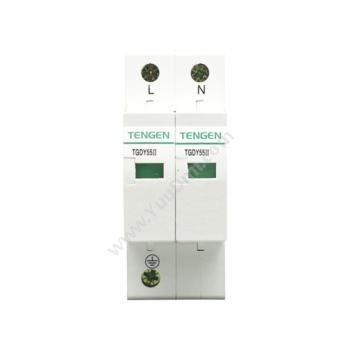 天正电气 TengenTGDY55系列 TGDY55II-100 2P 4070040118其它浪涌保护器