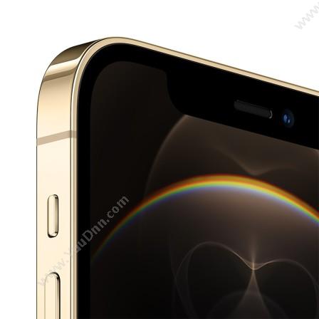 苹果 Apple iPhone 12 ProMax (MGC63CH/A) 256G 金色 移动联通电信5G手机 手机