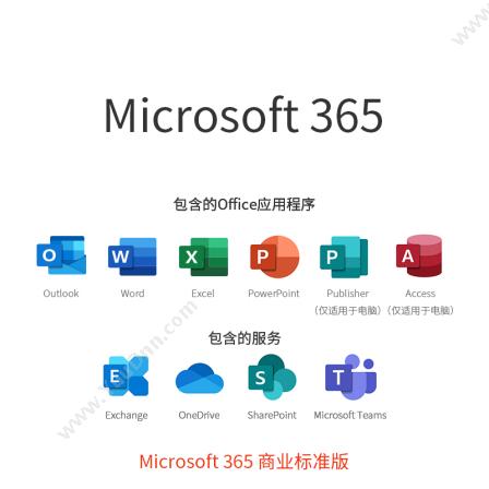 微软 Microsoft 365 办公软件(商业标准版) office软件
