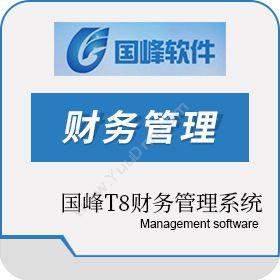 深圳市国峰软件国峰T8财务管理系统（含一年服务）财务管理