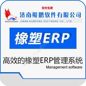 济南鲲鹏软件 鲲鹏橡塑行业ERP 企业资源计划ERP