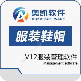 深圳市奥凯软件奥凯V12服装管理软件服装鞋帽