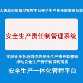 北京大唐思拓 安全生产责任制管理系统 制造加工