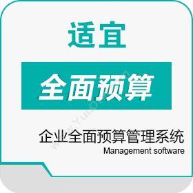 广州适宜软件 适宜企业预算管理系统 商业智能BI