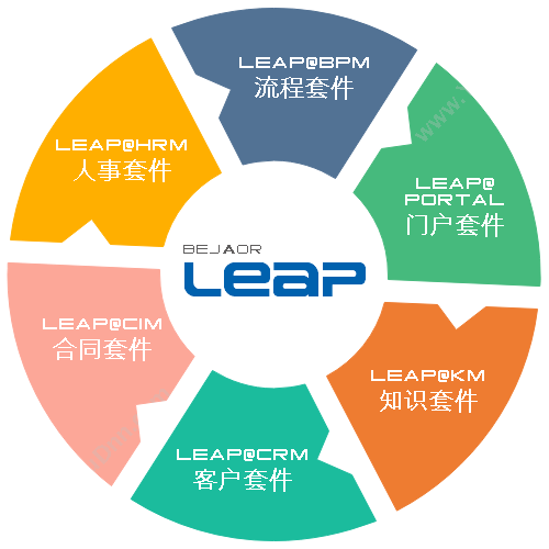 上海毕加信息 毕加LEAP（OA套件） 协同OA