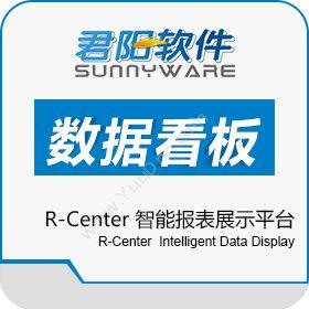上海君阳信息R-Center 企业智能报表展示平台商业智能BI