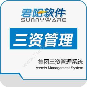 上海君阳信息 集团三资管理系统 资产管理EAM