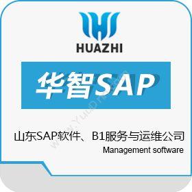 青岛中科华智信息山东SAP软件代理商 华智SAP B1服务与运维公司卡券管理
