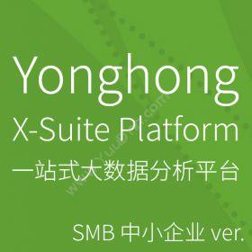 北京永洪商智Yonghong X-Suite 永洪一站式大数据分析平台商业智能BI