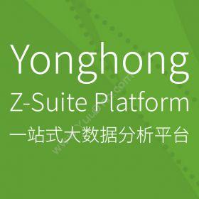 北京永洪商智Yonghong Z-Suite 永洪一站式大数据分析平台商业智能BI