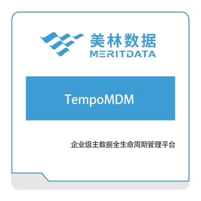 美林数据 TempoMDM 数据管理