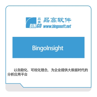 品高软件 BingoInsight 政务办公