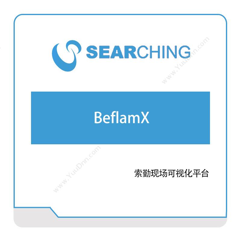 上海索勤BeflamX大数据