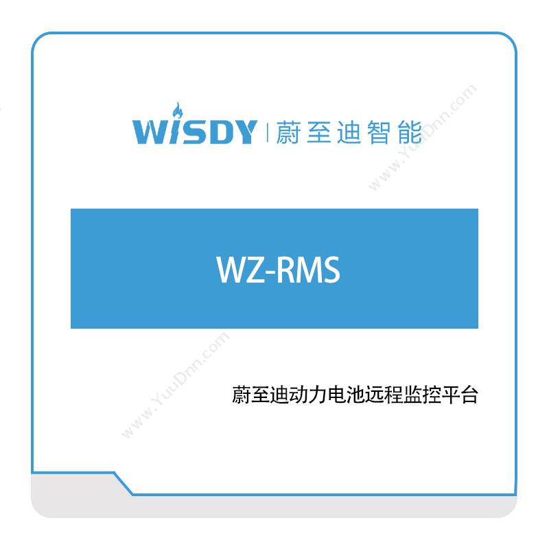 蔚至迪智能WZ-RMS 电池远程监控平台物联监测