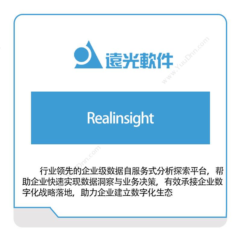 远光软件 Realinsight 电力软件
