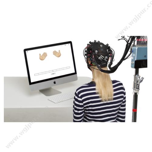 常州博睿康Neusen W-EEG &fNIRS多模态脑成像系统科学与数学系列