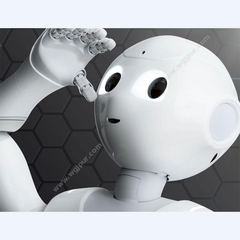 科梦奇 Y系列-Pepper 商用机器人