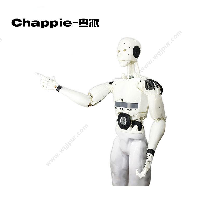 泰绅机器人chapple-查派商用机器人