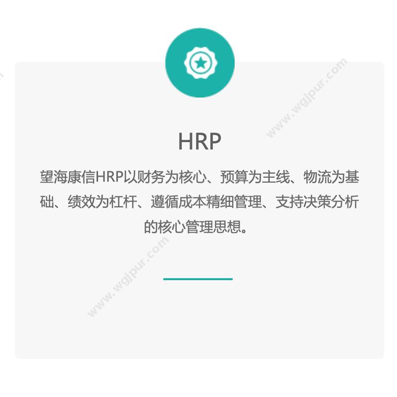 东软望海HRP医疗软件