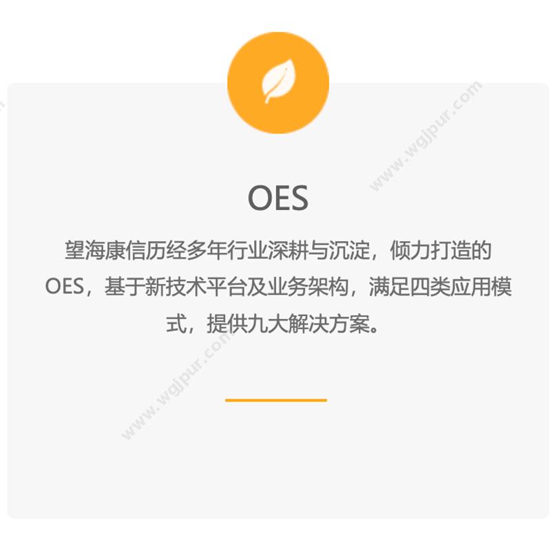 东软望海OES医疗软件