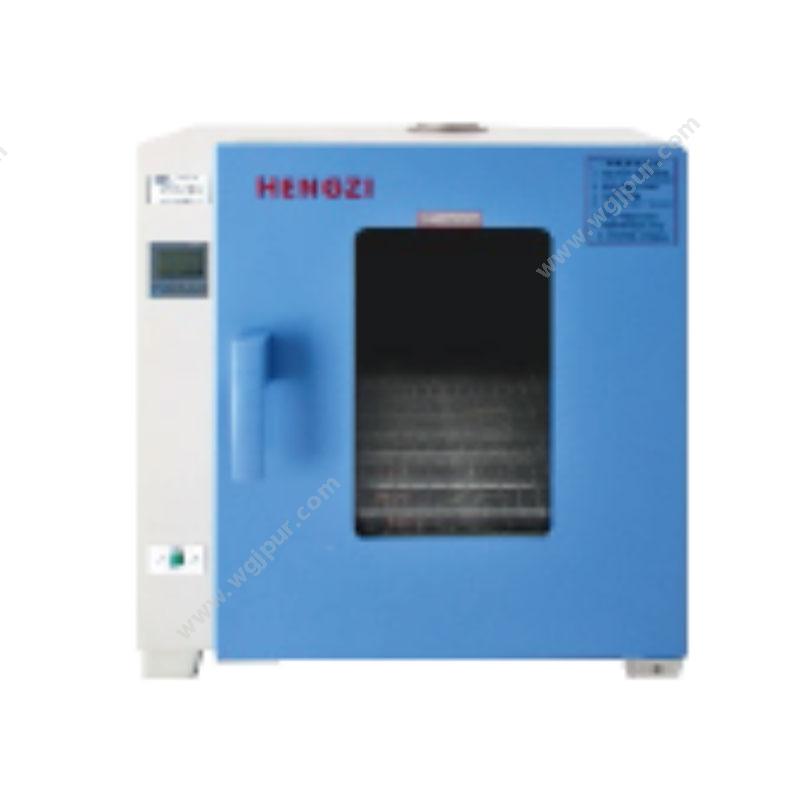 上海跃进电热恒温干燥箱 HGZN-ll-270电热恒温培养箱