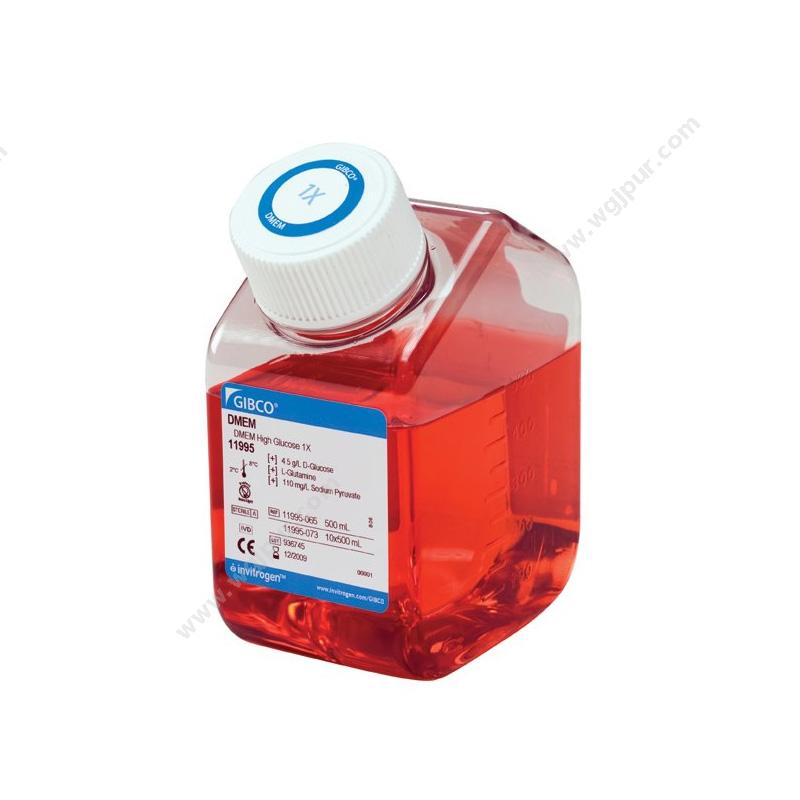 GibcoDMEM 高糖，含丙酮酸盐，500 mL C11995500BT培养基