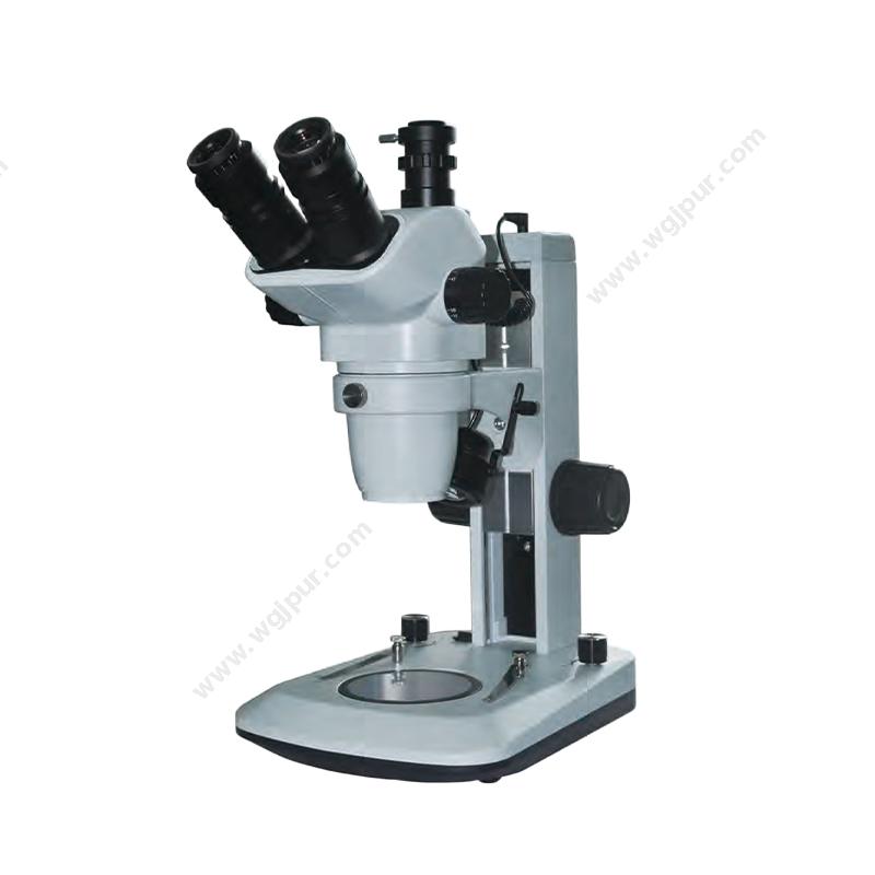 明美 MSHOT体式显微镜 MZ62生物显微镜
