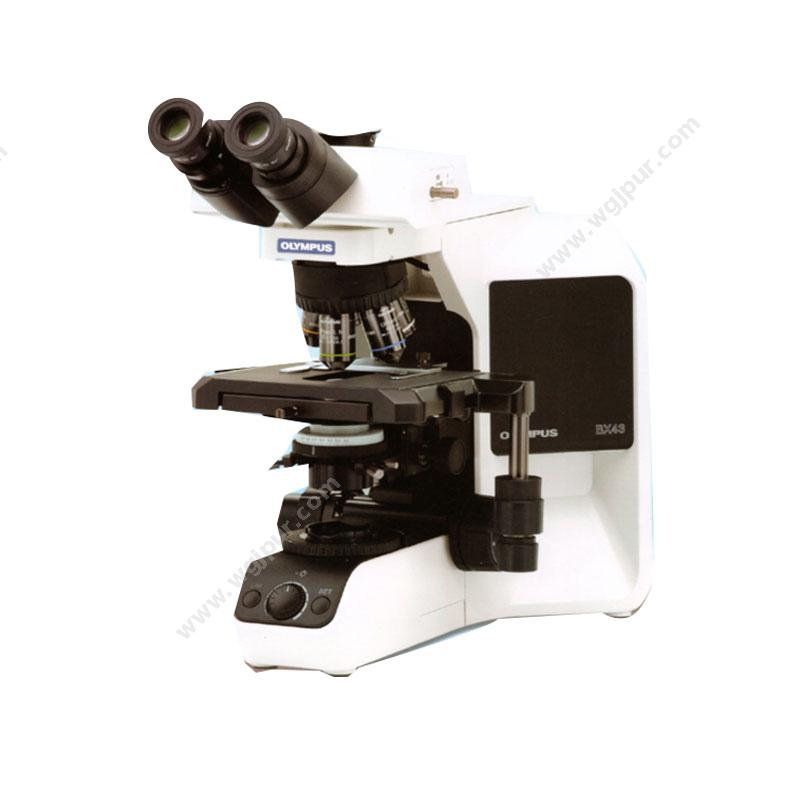 奥林巴斯 OLYMPUS生物显微镜 Biological Microscope BX43 三目生物显微镜