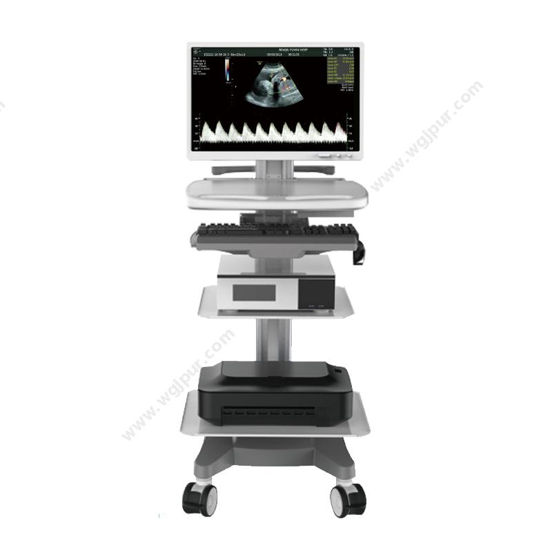索图医学影像工作站系统软件 SEEKER-200（带电脑打印机标清版）电池/台车/背包