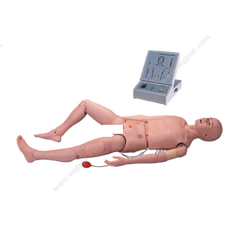 宸博高级成人护理及CPR模拟人 CB/3000护理训练模型