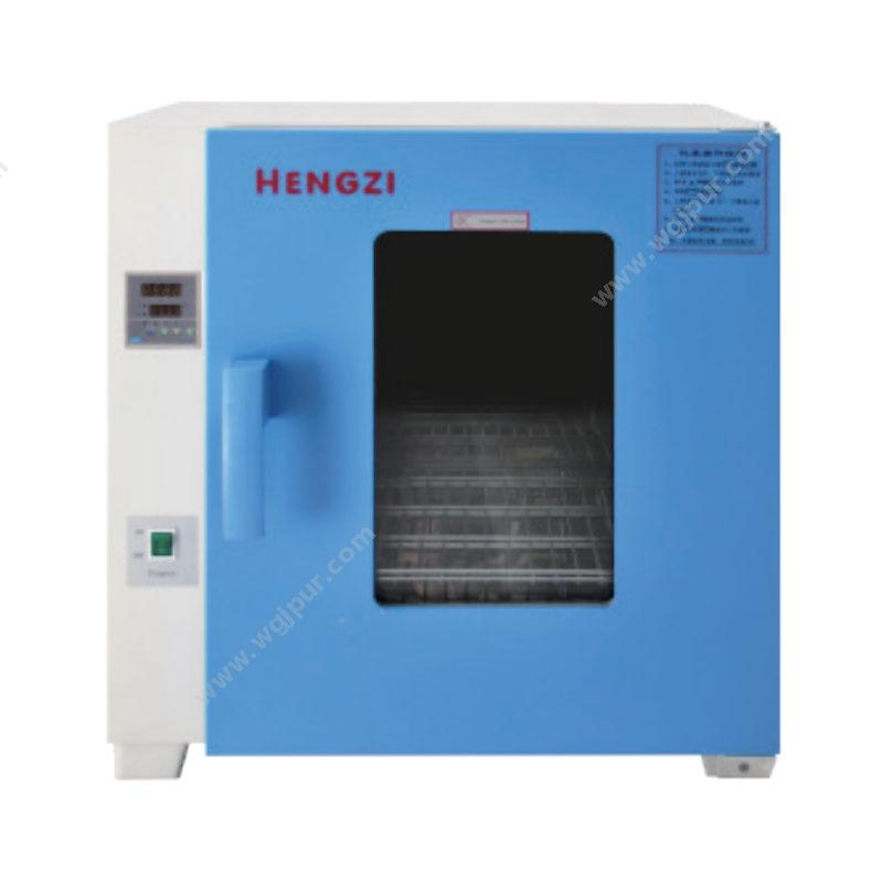 上海跃进电热恒温鼓风干燥箱 HGZF-II-101-2干燥箱