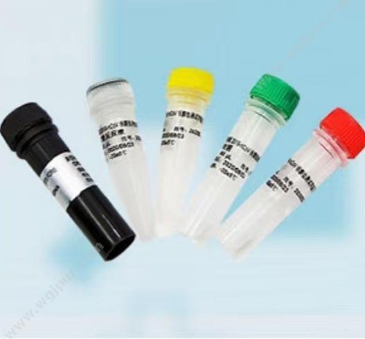 伯杰 新型冠状病毒2019-nCoV核酸检测试剂盒（荧光PCR法） 50人份/盒 核酸试剂