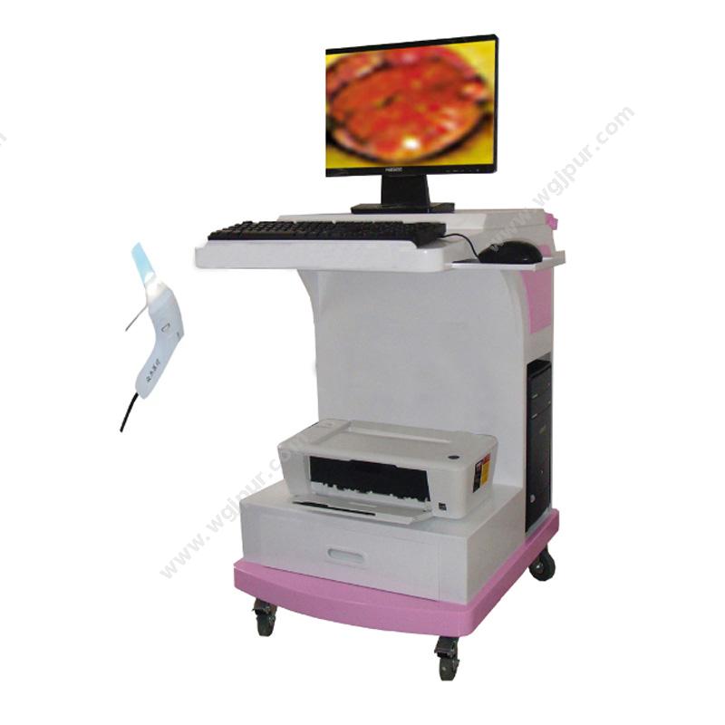 众杰医学影像处理系统 ZJ-3000D （肛肠内窥镜）白带分析仪