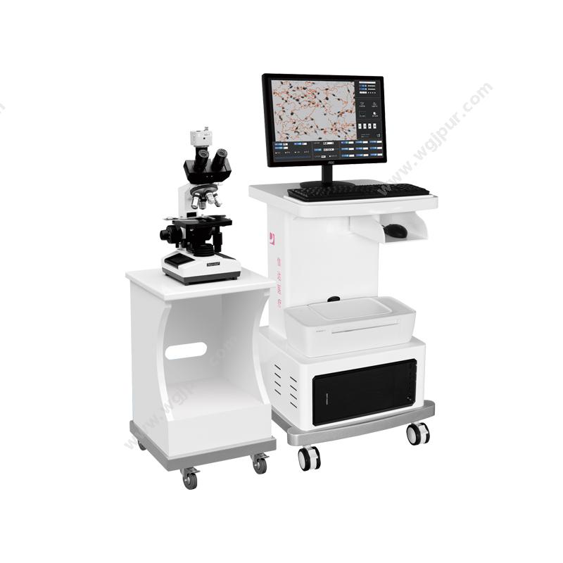 信达 XINDA医学影像工作站 XD-6000X（白带动静态图像检测）精子分析仪