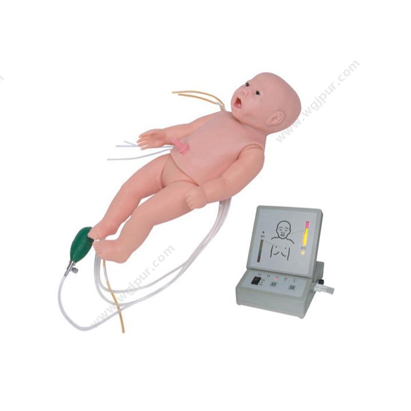 宸博全功能新生儿模拟人 CB/FT335妇婴技能训练模型